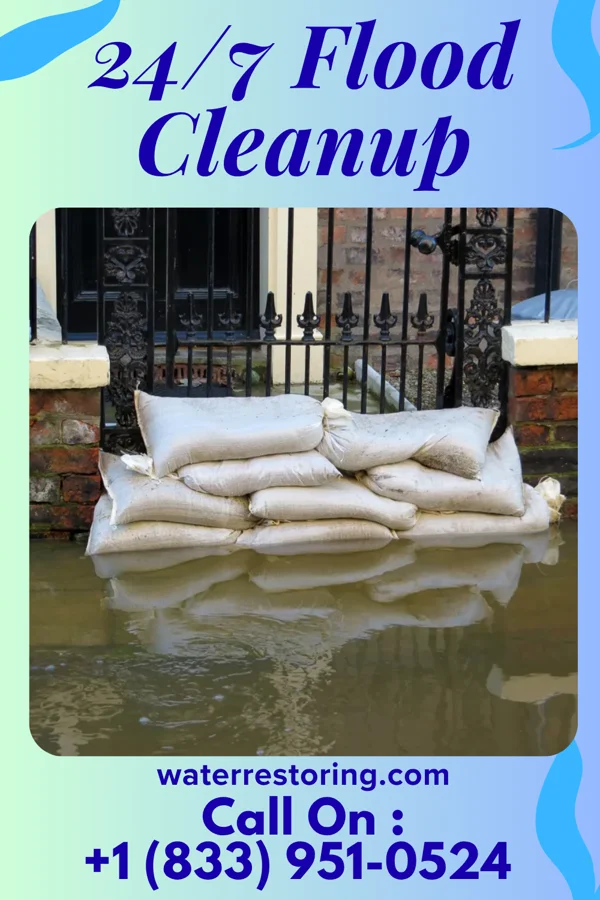 24/7 Flood Cleanup in Magnolia, NC