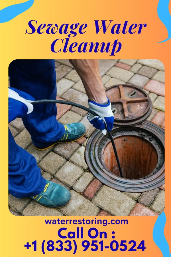 Sewage Water Cleanup in Magnolia, NC